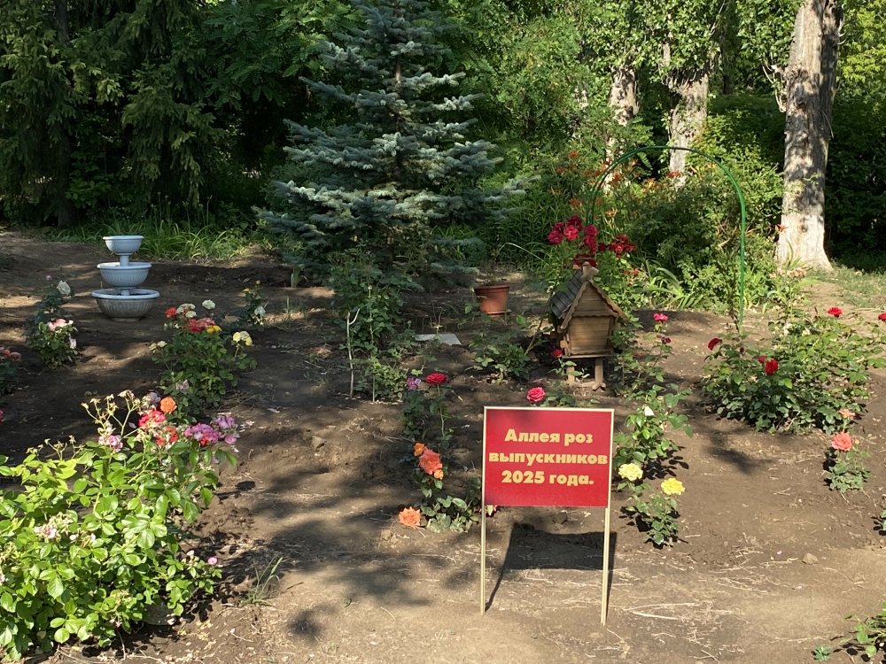 Аллея выпускников