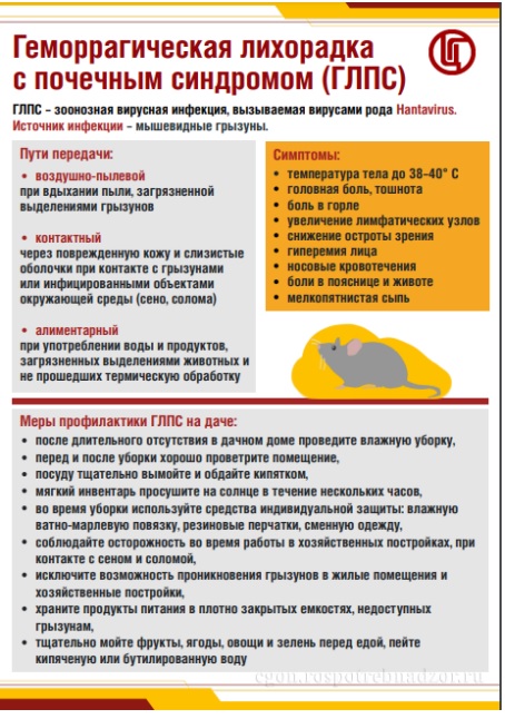 О профилактике геморрагической лихорадки